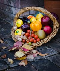 Autumn Harvest - Judy Warburton