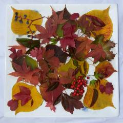 Autumn platter - Maureen Rogers
