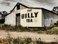 Billy Tea - Dawn Zandstra