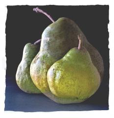 Green_Pears2 - Tim Collisbird