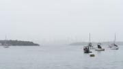 Grey day on the harbour - Robyn Miller