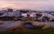LaPerouse Foreshore - Fran Brew