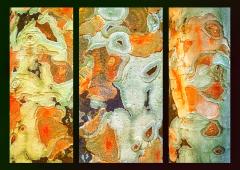 Leopard Ash Triptych - Judith Bennett