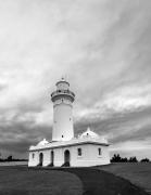 Macquarie Lighthouse - Fran Brew