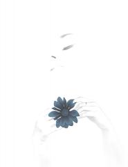 One Last Flower - John Pettett
