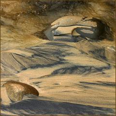 Sand Patterns - Dawn Zandstra
