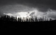 Stormy Sillhouettes - Alison Seccombe