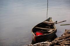 The_Old_Boat - Jenny Turtle