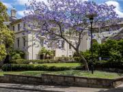 University of Sydney -231109-80536 - Donald Gould