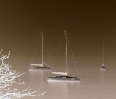 yachts_in_fog jpg - Jenny Turtle