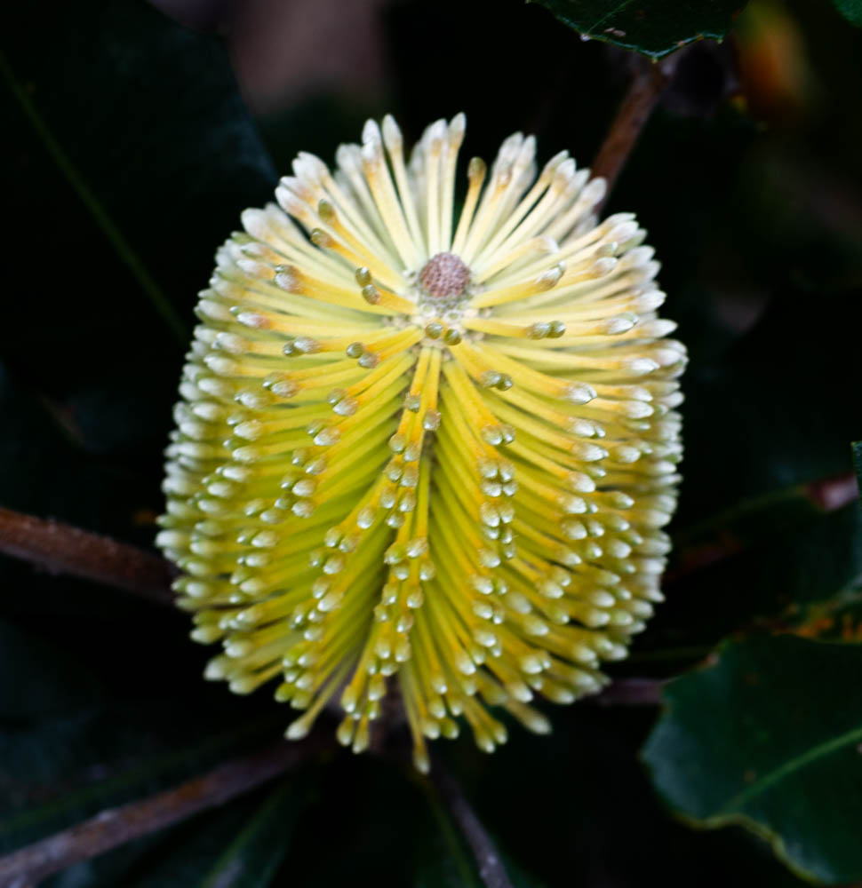 Christmas Party Christmas Party