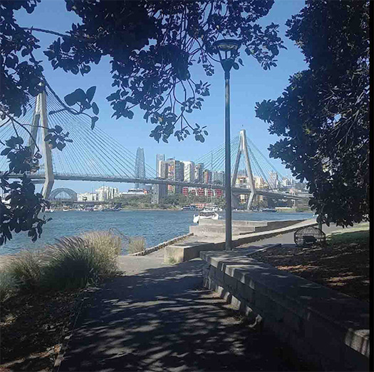Glebe foreshore ending with lunch at the new Fish Markets