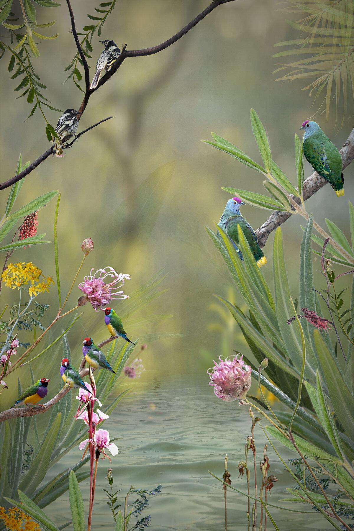 Artistic Photography of Australian Flora and Fauna by Pamela Pauline