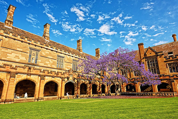 Sydney University and grounds
