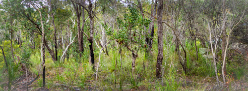 End of year celebration