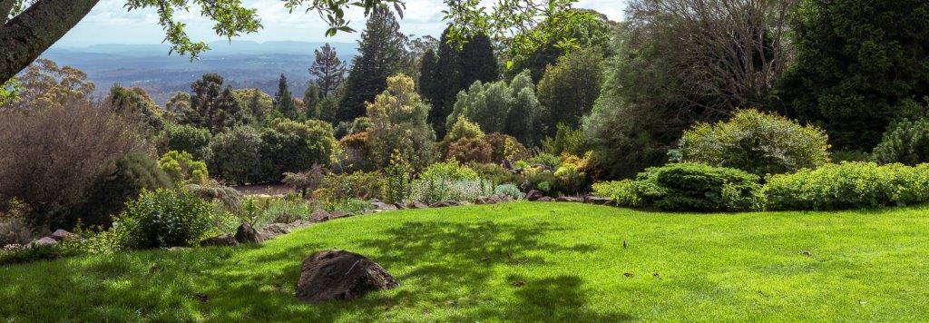 Outing to Mount Tomah Botanic Garden