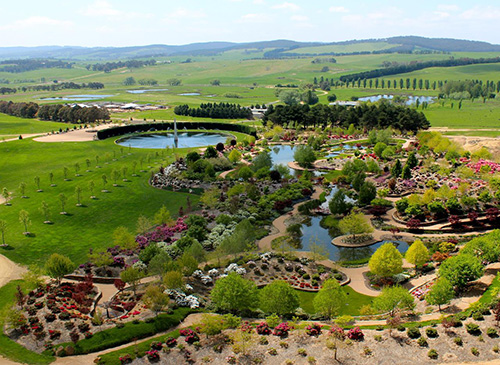 Springtime at Mayfield Gardens and Oberon