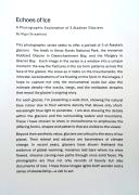 01. NS Artist Statement JPEG - Nigel Streatfield