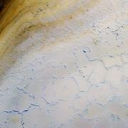 02 Animal footprints - Robyn Miller