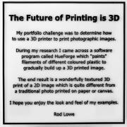 02 Artist Statement 3D - Rod Lowe