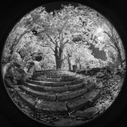 02 IR730nm RED3735 Nik DxO PS - Christo van Rensburg