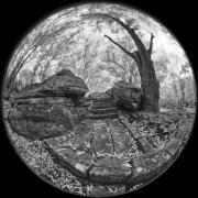 03 IR730nm RED3717 Nik DxO PS - Christo van Rensburg