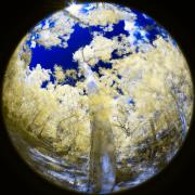 04 IR590nm RED3639v1 ON1 PS - Christo van Rensburg