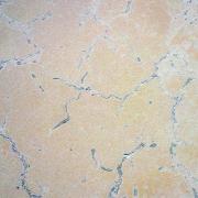 04 Salt - Robyn Miller