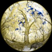 06 IR590nm RED3633v1.ON1 PS - Christo van Rensburg