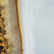 06 Lake border - Robyn Miller