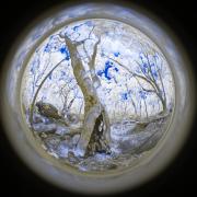 07 IR590nm RED3660v1 ON1 PS - Christo van Rensburg