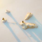 07 Salt formations - Robyn Miller