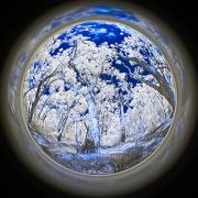 09 IR590nm RED3674v1.ON1 PS - Christo van Rensburg