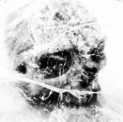 Skelly - Carol Abbott