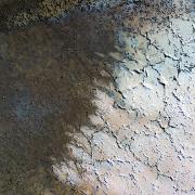 10 Chocolate & vanilla - Robyn Miller