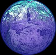 10 IR470nm A1280912 DxO PS - Christo van Rensburg