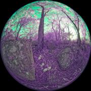 11 IR470nm A1280882 DxO PS - Christo van Rensburg