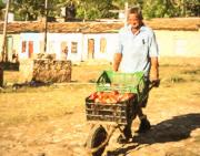 11 Trinidad-de-Cuba-Produce - Elaine Seaver