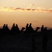 12.Camels in the Sunset - Alan Sutton