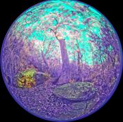 12 IR470nm A1280911 DxO PS - Christo van Rensburg