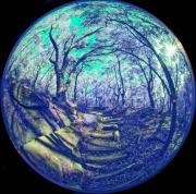 13 IR470nm A1170768 DxO PS - Christo van Rensburg