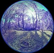 14 IR470nm A1170745 DxO PS - Christo van Rensburg