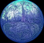 15 IR470nm A1280922 DxO PS - Christo van Rensburg