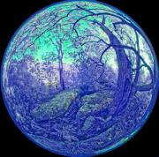 16 IR470nm A1170750 DxO PS - Christo van Rensburg