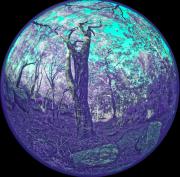 17 IR470nm A1280878 DxO PS - Christo van Rensburg