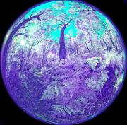 18 IR470nm A1101019 DxO PS - Christo van Rensburg