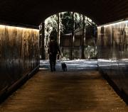 20.Boy and Dog (1 of 1) - Alan Sutton