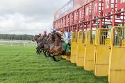 Wyong Races April 2015