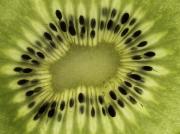 Kiwi fruit - Hemant Kogekar