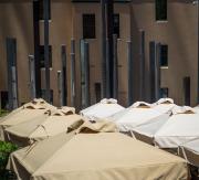 20251118085545 DSC0793 - Hans Olthof